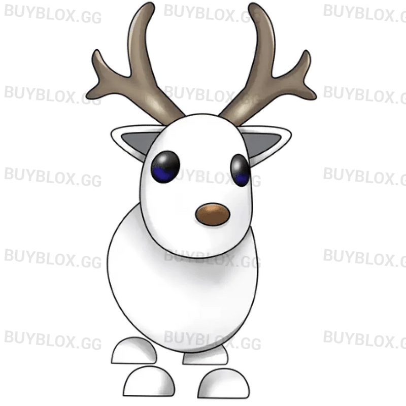 Arctic Reindeer