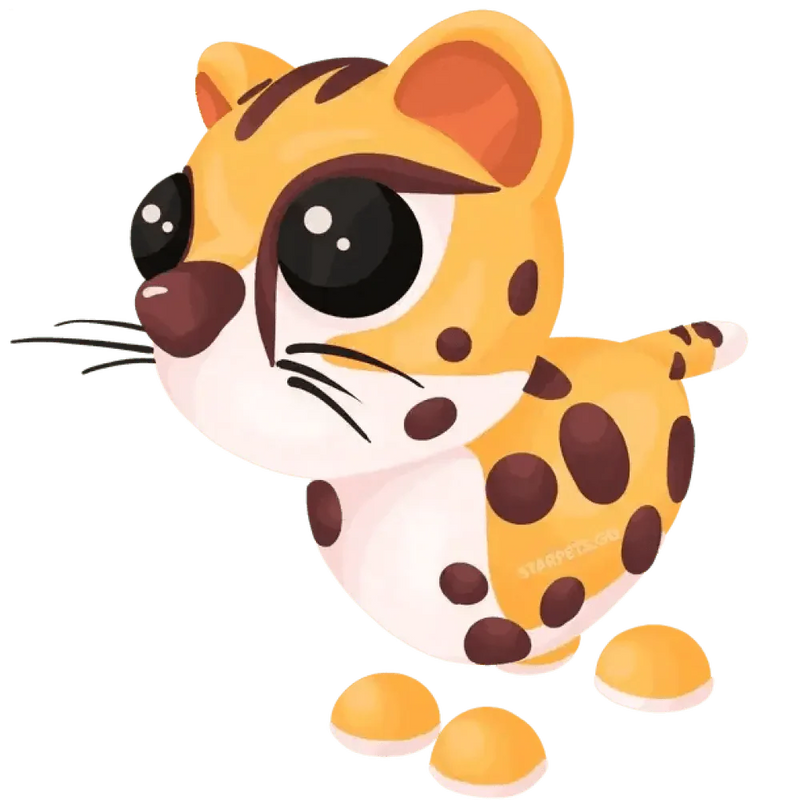 Cheetah