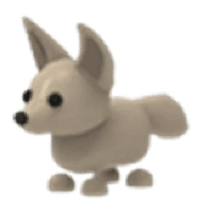 Fennec Fox