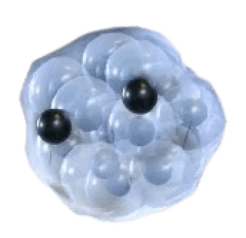 Frogspawn