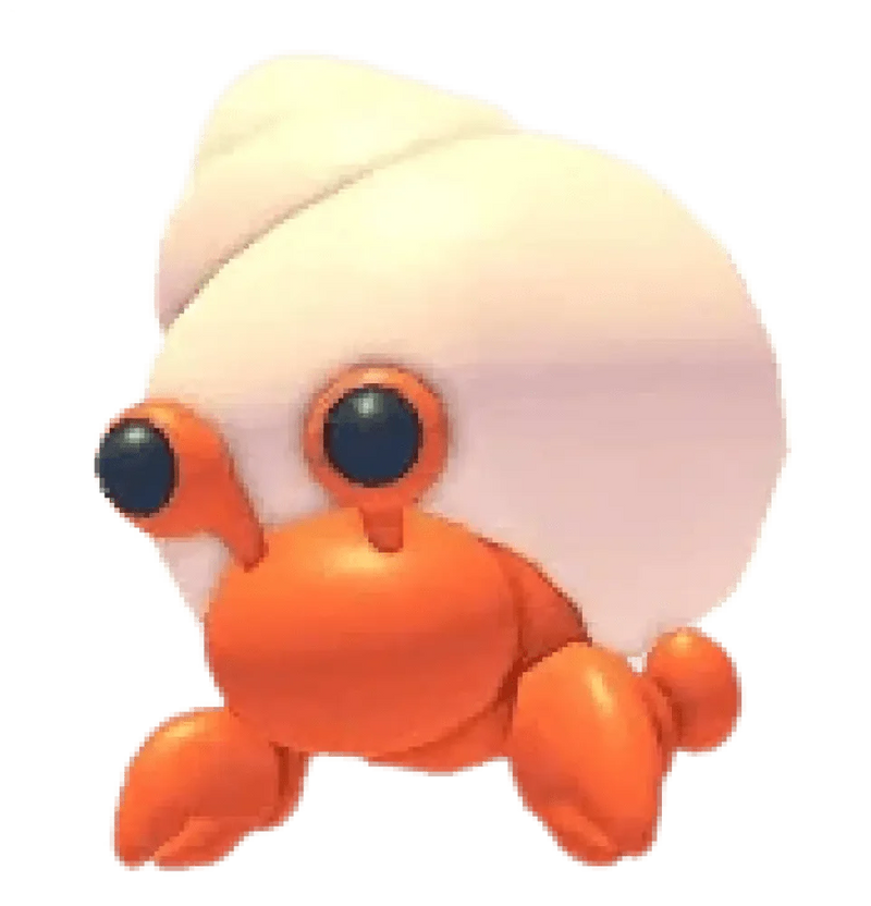 Hermit Crab