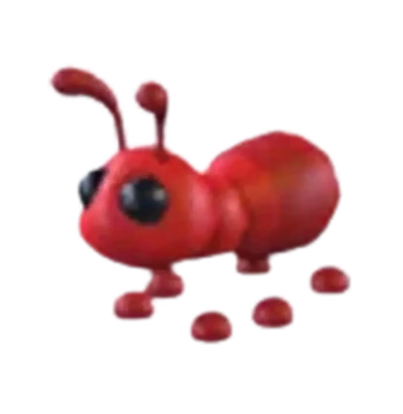 MFR Ant