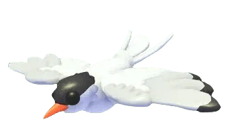 MFR Arctic Tern