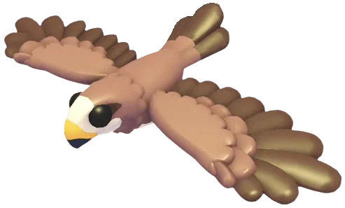 Black Kite