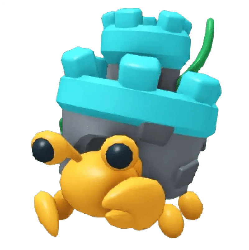 MFR Castle Hermit Crab