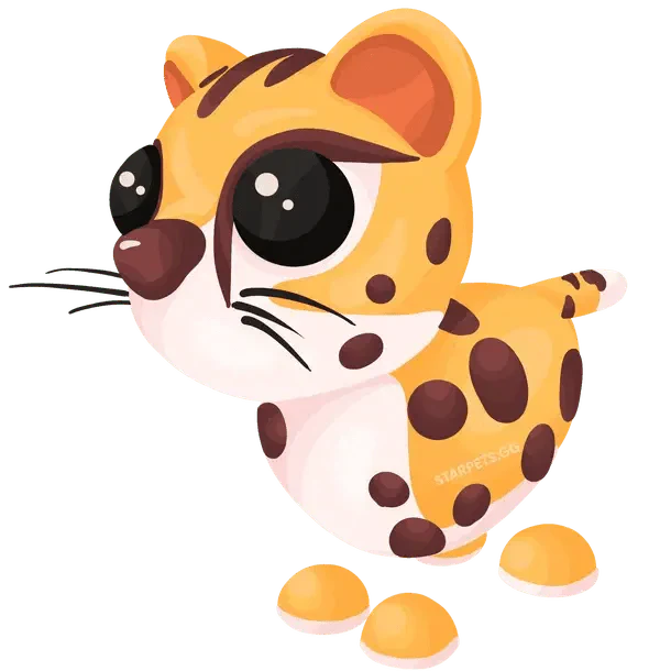 NFR Cheetah