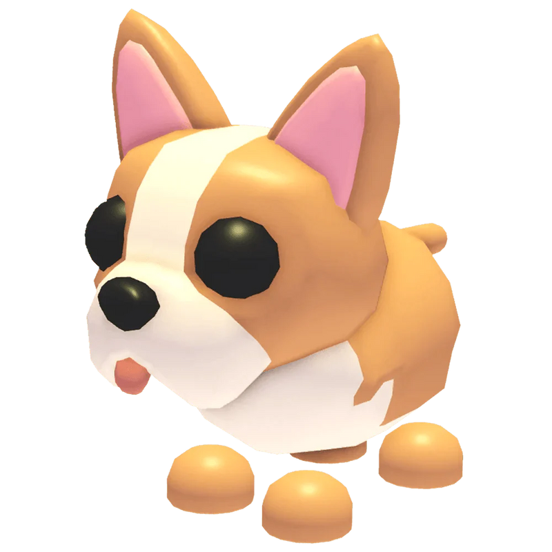 MFR French Bulldog