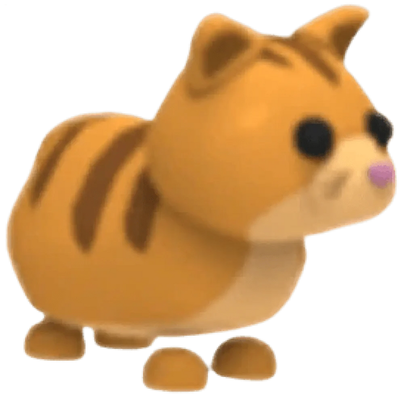 MFR Ginger Cat