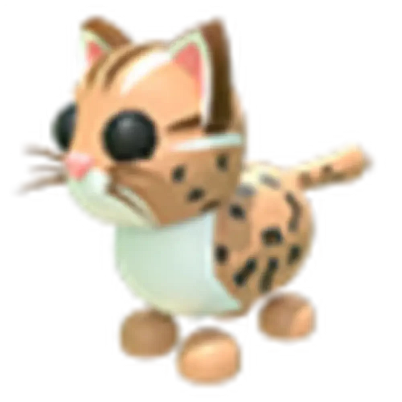 MFR Leopard Cat