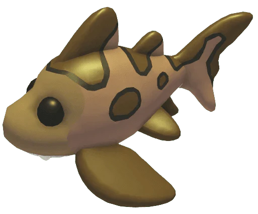 MFR Leopard Shark