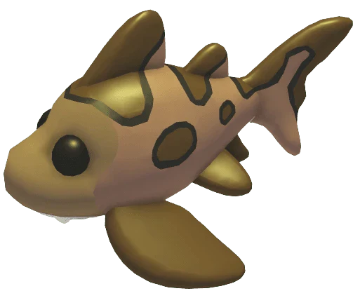 Leopard Shark
