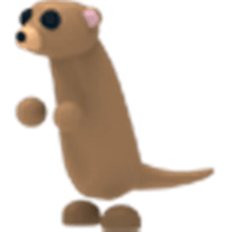 MFR Meerkat