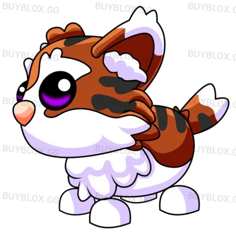 MFR Munchkin Cat