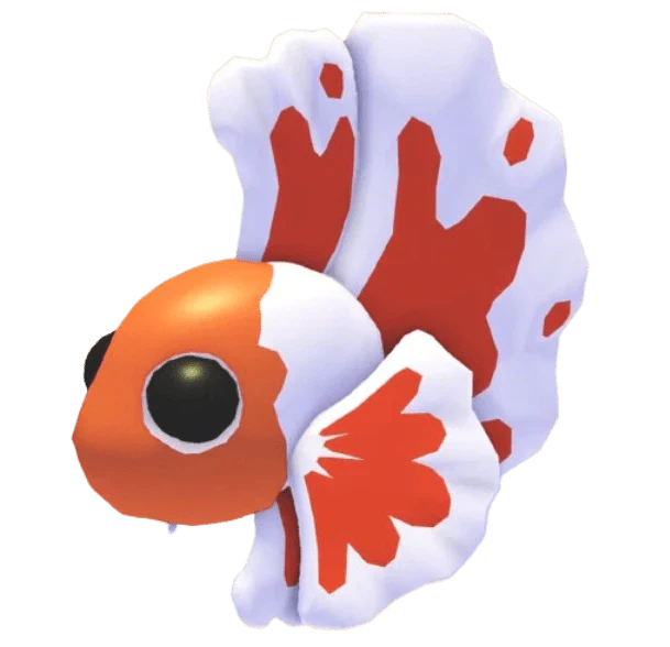 Orange Betta Fish