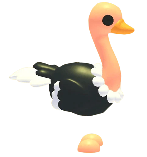 MFR Ostrich