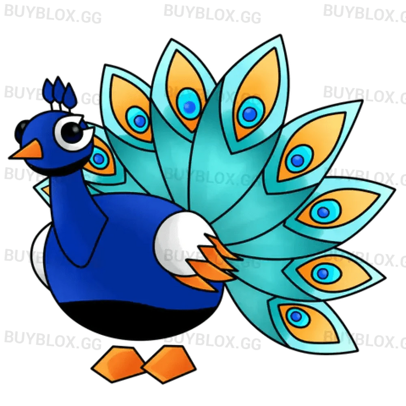 MFR Peacock