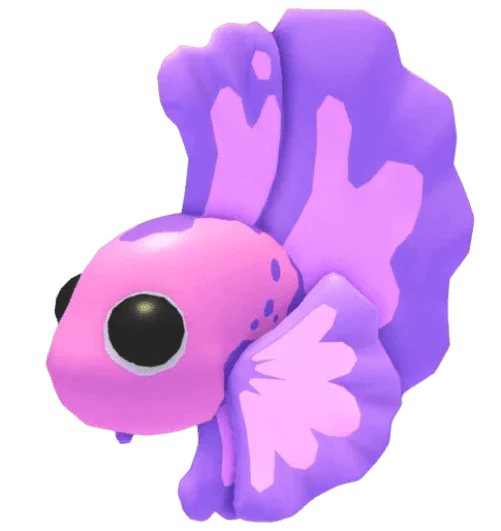 MFR Pink Betta Fish