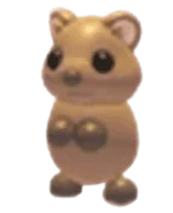 MFR Quokka