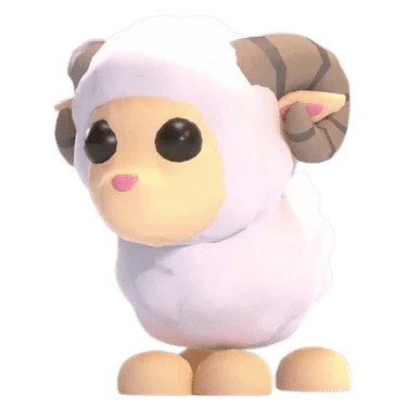 MFR Ram
