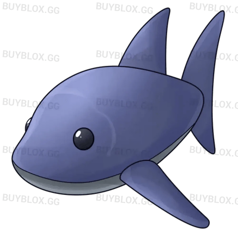 MFR Shark