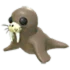 Walrus