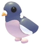 Wood Pigeon