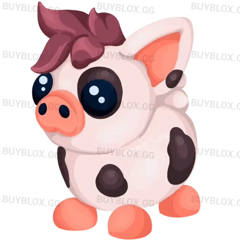 Mini Pig