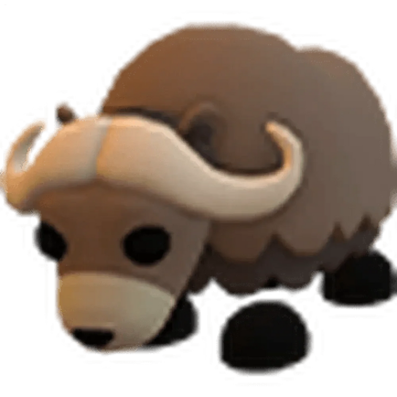 Musk Ox