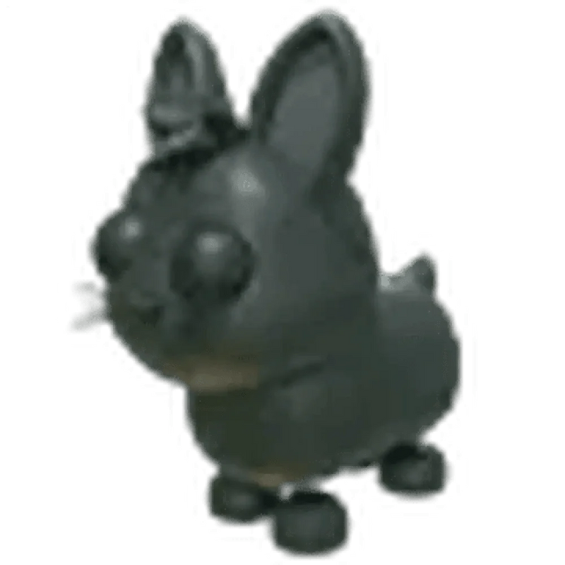 NFR Amami Rabbit