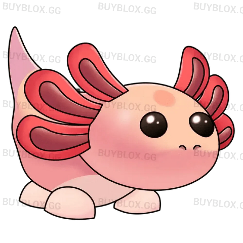 NFR Axolotl