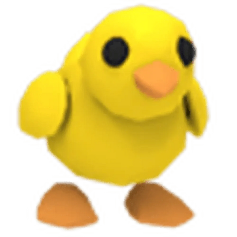 NFR Chick