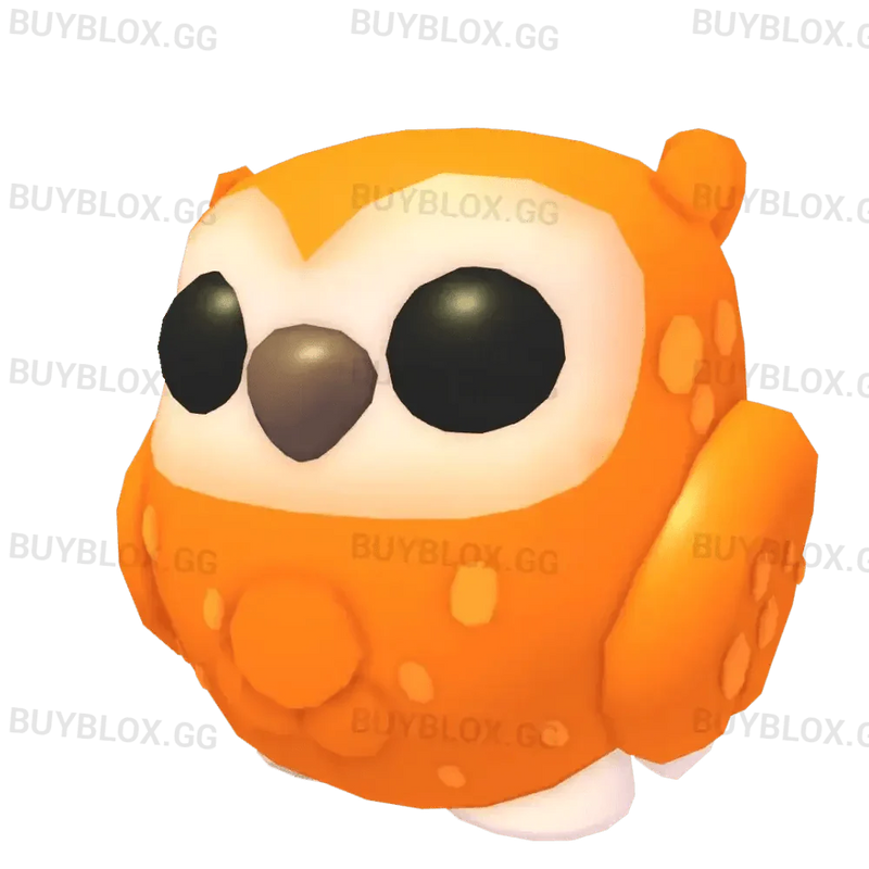 NFR Clementine Owl