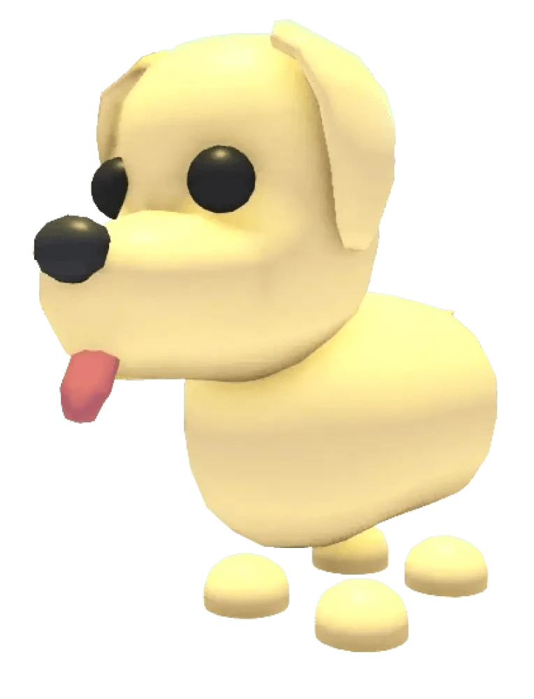 NFR Dog