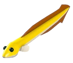 NFR Eel