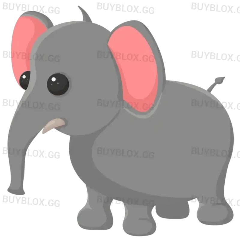 NFR Elephant