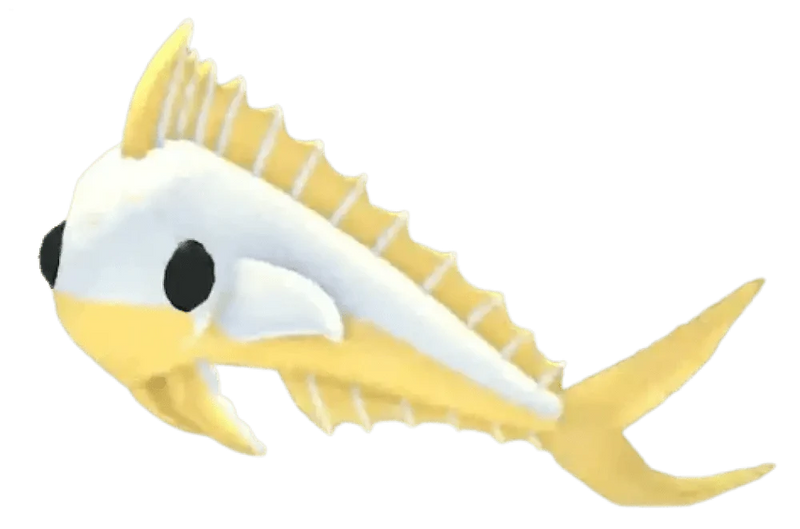 NFR Gold Mahi Mahi
