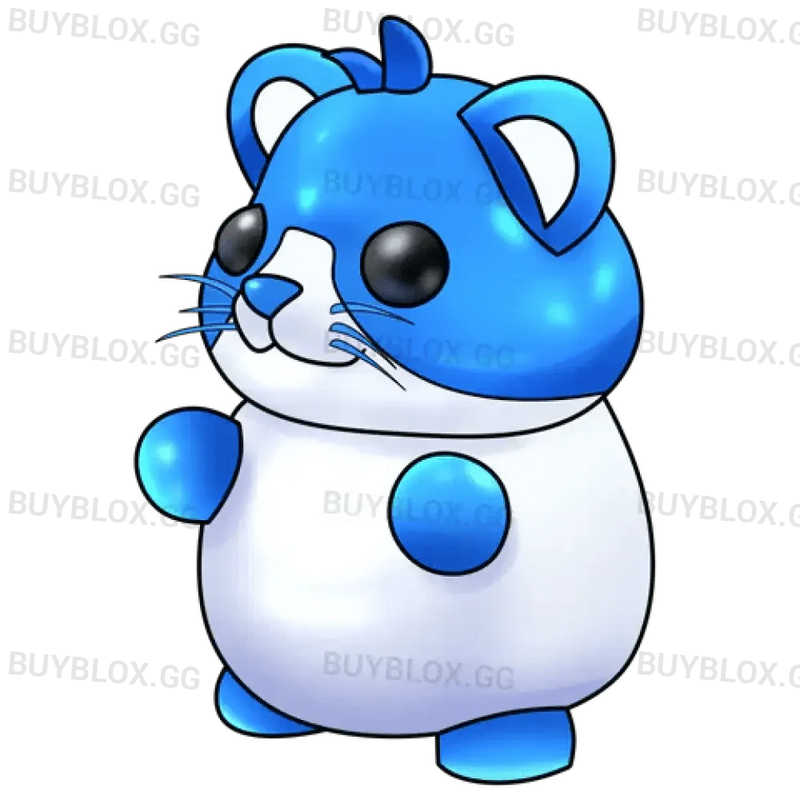 NFR Hamster