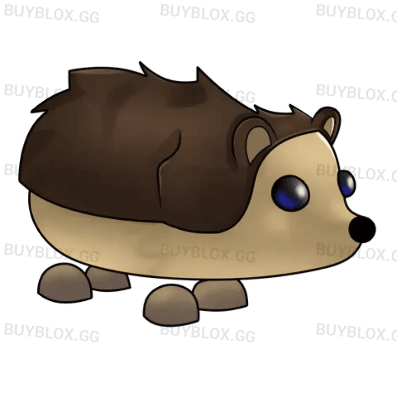 NFR Hedgehog