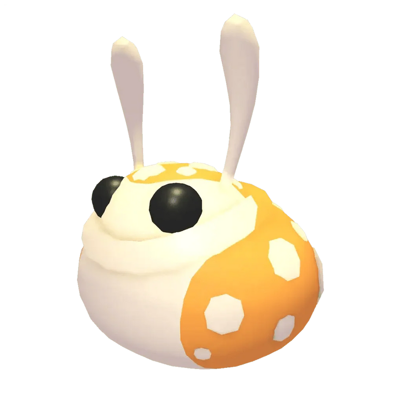 NFR Hopbop