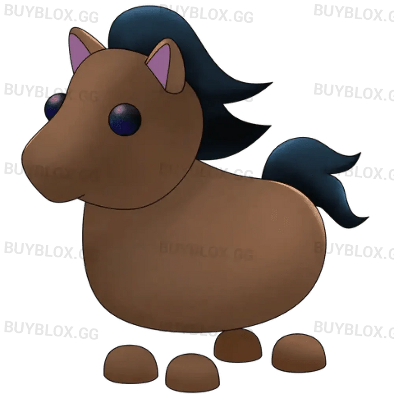 NFR Horse