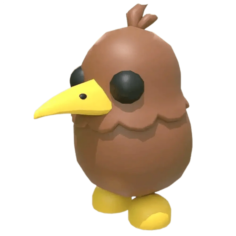NFR Kiwi