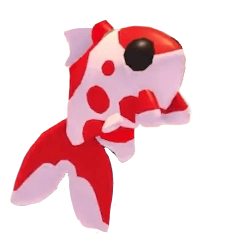 NFR Koi Carp