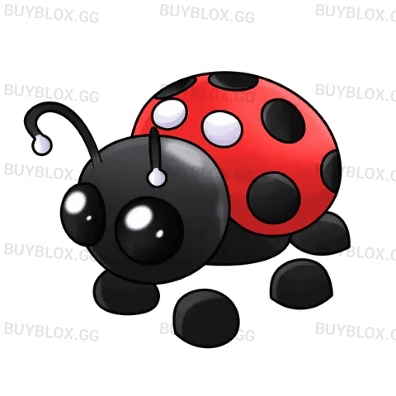 NFR Ladybug