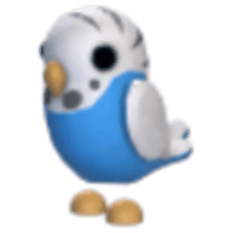 NFR Parakeet