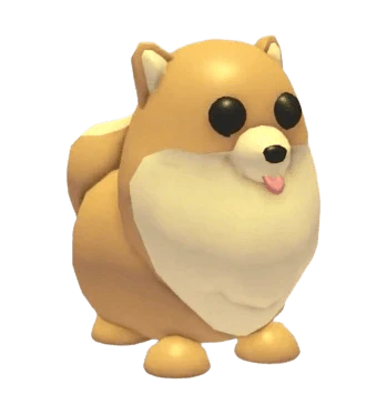 NFR Pomeranian