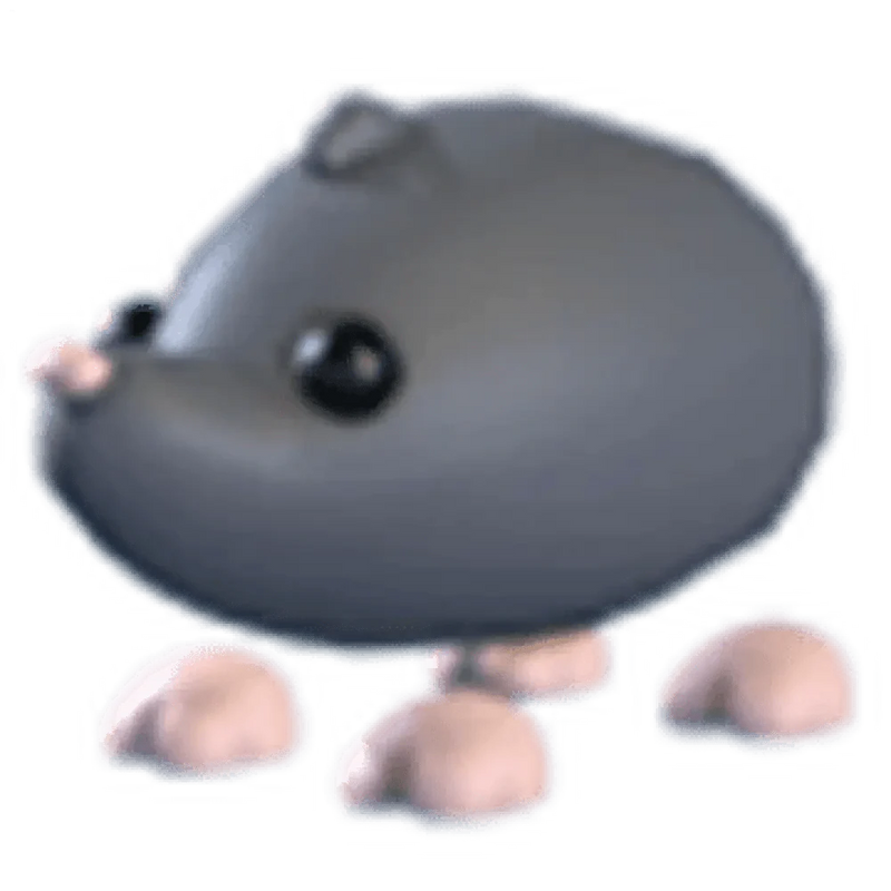 NFR Sado Mole