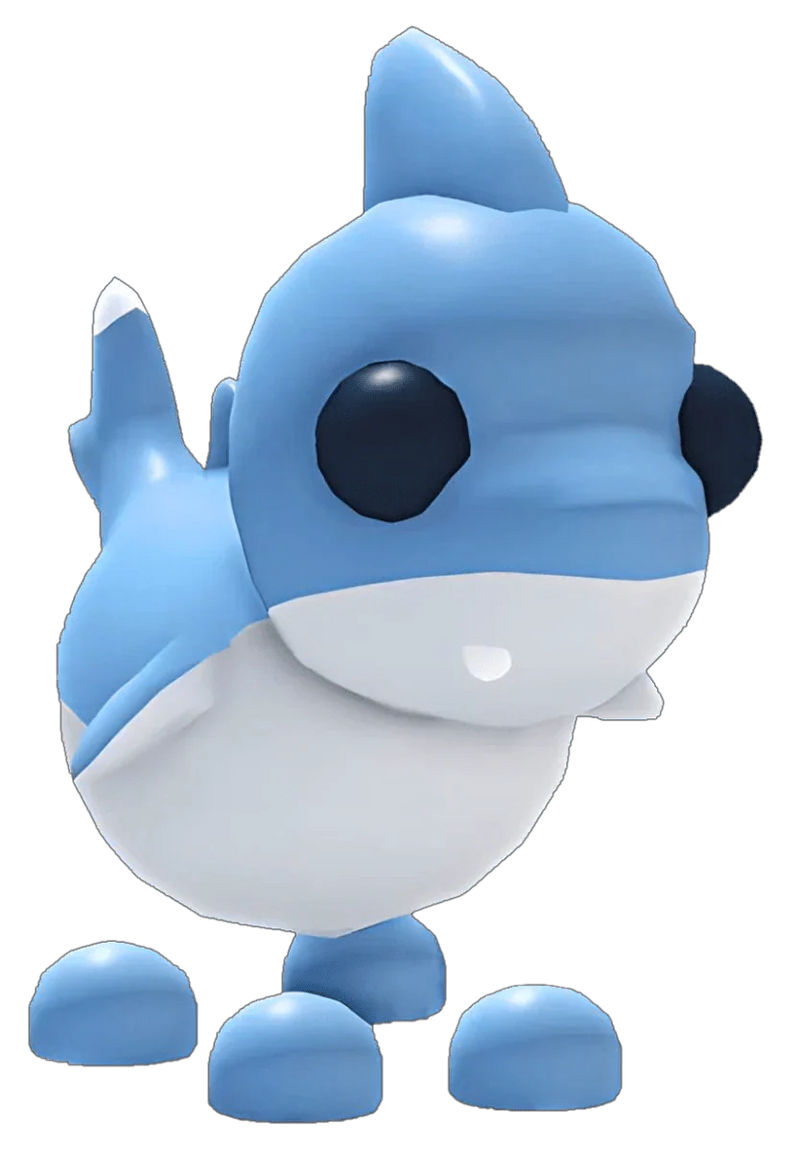 NFR Shark Puppy