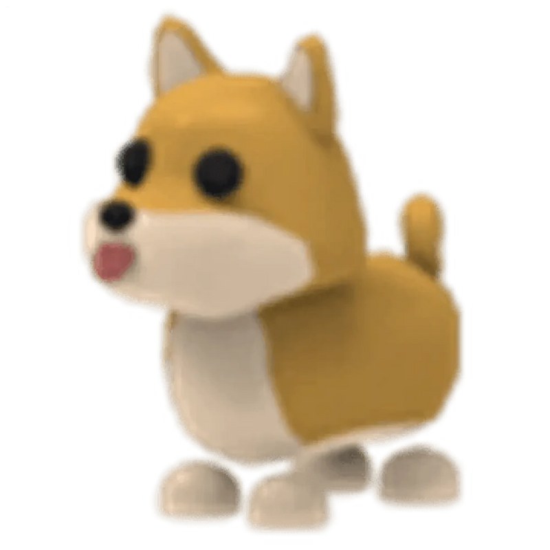 NFR Shiba Inu