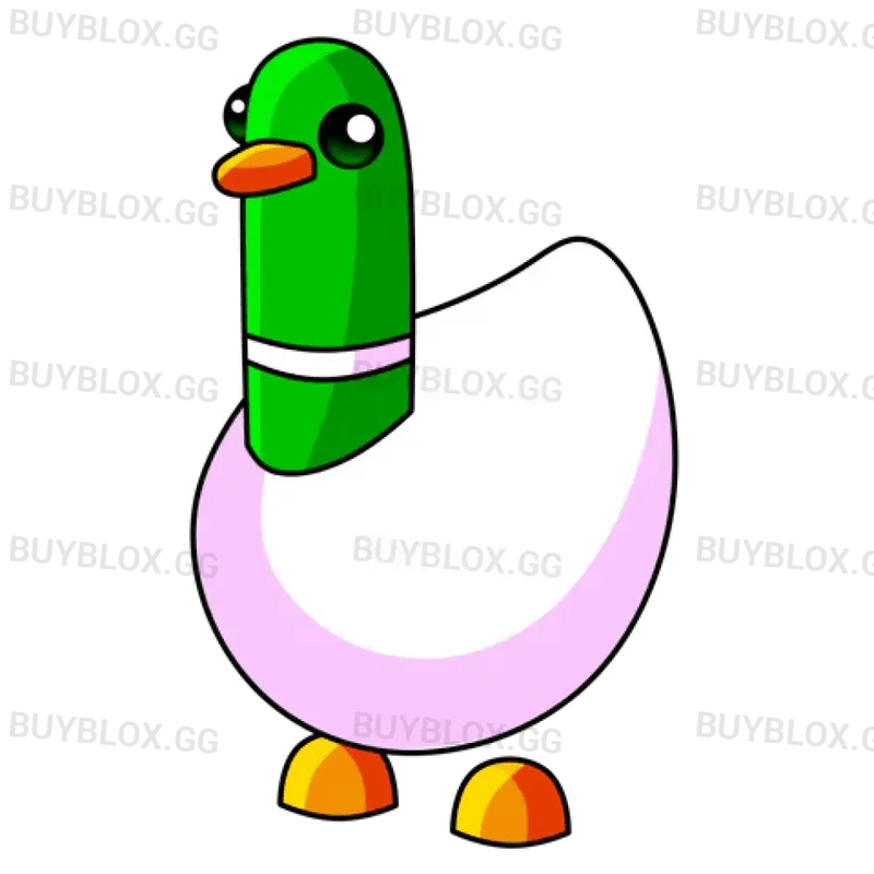NFR Silly Duck