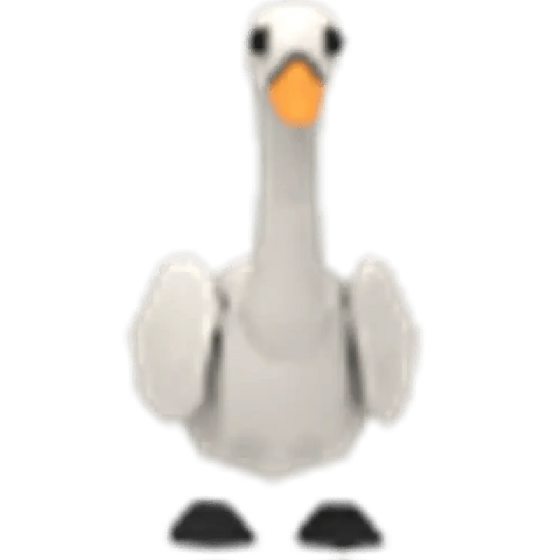 NFR Swan